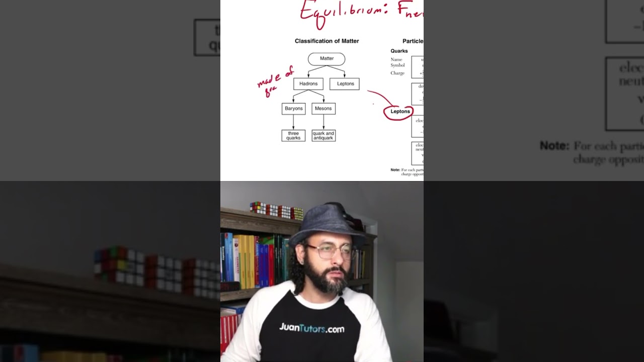 What are hadrons made out?? Explained!! 