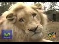 Leon Blanco - Montserrat Oliver - Sudafrica 2010