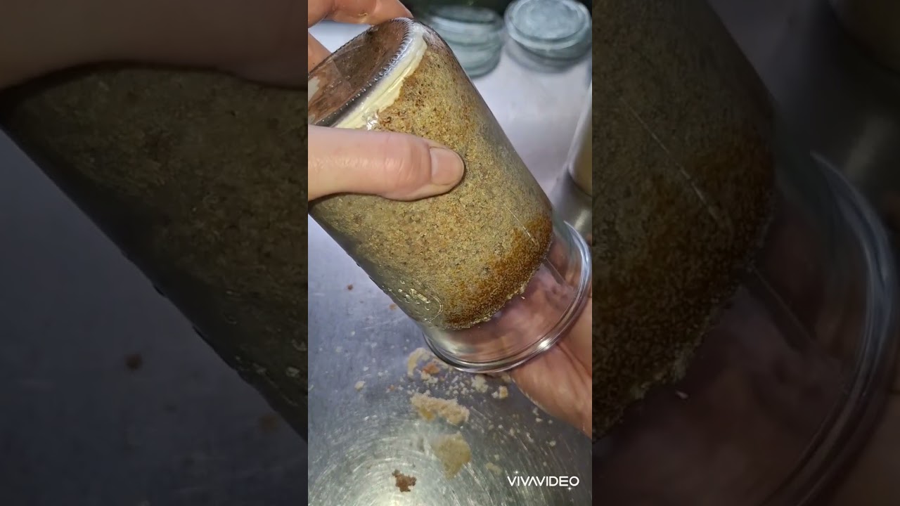No Grease ? No Good ! #bakingbread #weckipedia #waterbathcanning #breadinjars #sourdough #weckjars