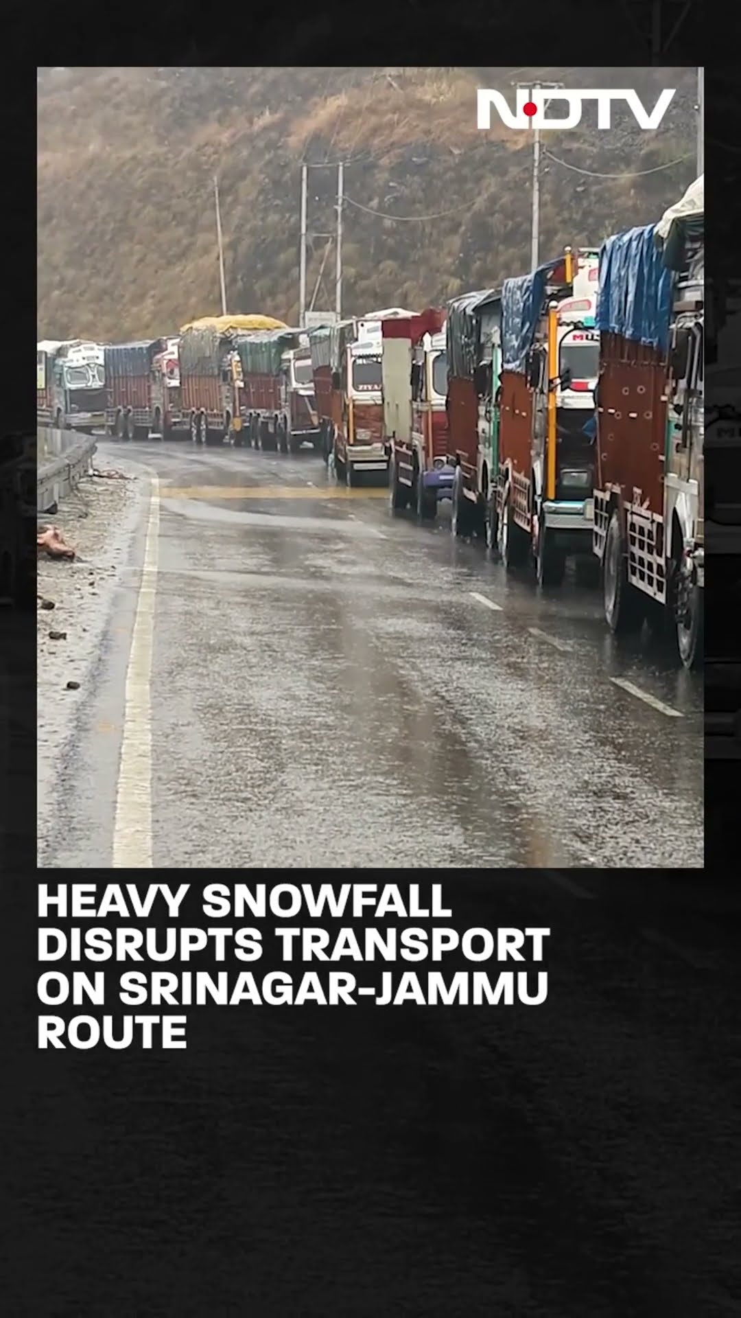 Srinagar Snowfall | Kashmir Valley Blanketed In Snow As First Snowfall Of The Season Arrives