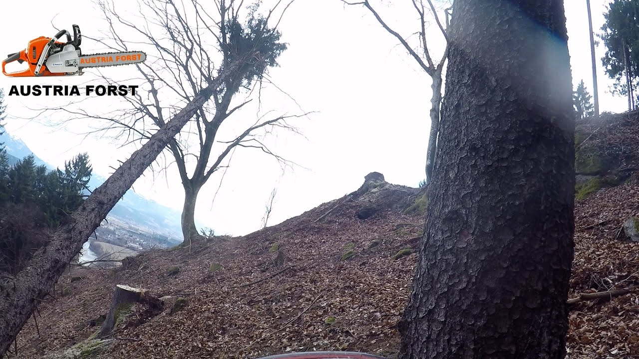 Timber Fail Lumbering extreme! I also make mistakes #1 Mega Fail - YouTube