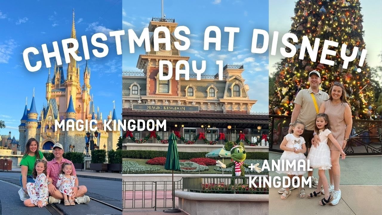 🎄 Видеоблог Disney World | Два парка за один день: Волшебное королевство и Королевство животных