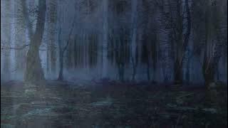 SUARA HUJAN DAN PETIR MALAM HARI DI HUTAN DURASI PENDEK DI JAMIN LANGSUNG TERTIDUR DENGAN CEPAT