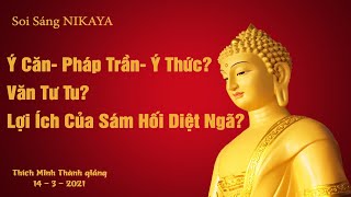 Soi Sáng NIKAYA _ Ý Căn- Pháp Trần- Ý Thức ? _ Lợi Ích Của Sám Hối Diệt Ngã ? _ Văn Tư Tu ?