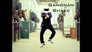 Gangnam Shake (Gangnam Style and Harlem Shake Mashup)