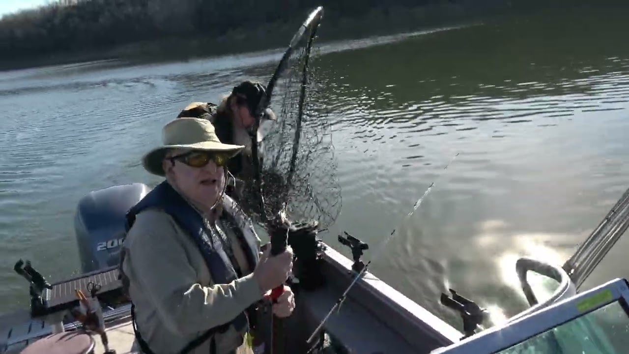 Downrigging for Stripers