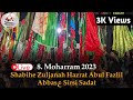 Live azadari sirsi  8 muharram shabihe zuljanah mola abbas as sirsi 2023