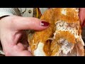 ✨THE BEST✨fried chicken you’ll ever eat!