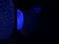 jellyfish ❤️