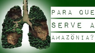 PARA QUE SERVE A AMAZÔNIA?