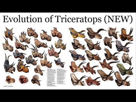 Evolution of Triceratops LIVE Lecture