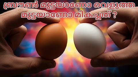 നിങ്ങൾ ഇത്രയും കാലം തെറ്റിദ്ധരിച്ച മുട്ടക്കഥ! Brown vs white eggs! Anoop Benny@TENETMALAYALAM