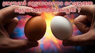 നിങ്ങൾ ഇത്രയും കാലം തെറ്റിദ്ധരിച്ച മുട്ടക്കഥ! Brown vs white eggs! Anoop Benny@TENETMALAYALAM