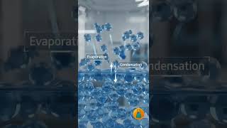 What Is Vapour Pressure? ๐งโ๏ธ | Chemistry Explained #science #chemistry What Is Vapour Pressure? ๐งโ๏ธ | Chemistry Explained #science #chemistry