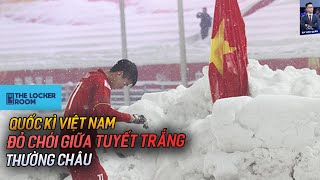 KHOẢNH KHẮC THIÊNG LIÊNG: LÁ CỚ TRÊN TUYẾT