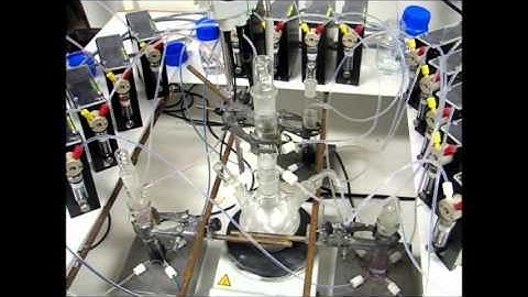 Networked Reactor System