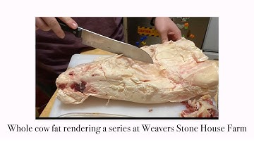 Rendering 50lbs of our steers fat tallow.  Tallow the easy way, in a roaster. Part 1