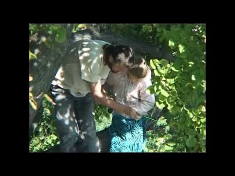 ЗОЯ ЯЩЕНКО и БЕЛАЯ ГВАРДИЯ  -  Я так люблю лето BSH