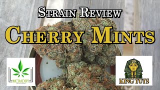 Strain Review - Cherry Mints - King Tuts Cannabis