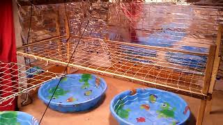 Garden Reset 1-21-2020