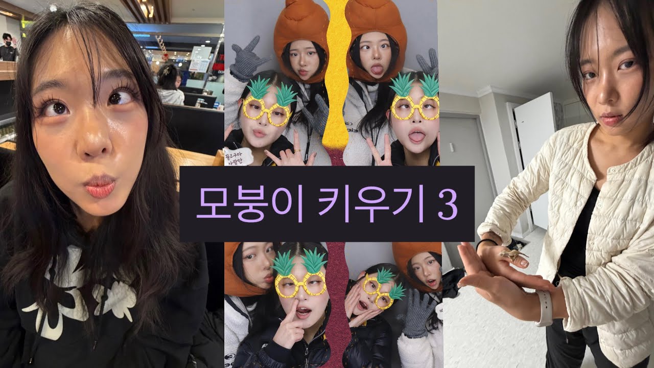 모붕이 키우기3 | 이태원 | 압구정 | 용가훠궈 | 코 수술 후기  