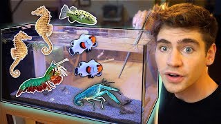 FEEDING ALL My FISH + SEAHORSES!!