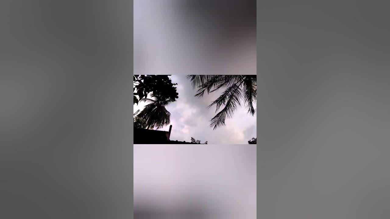 Nature|| #viral #youtube #ytshorts #nature #ytshort #plant #short #shorts #shortvideo