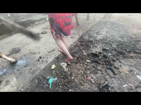 Barefoot girl steps on cow dung