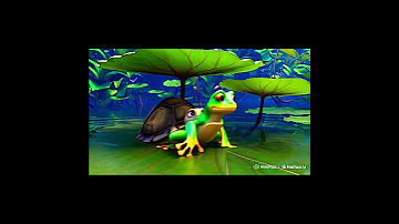 JoJo S Adventures JoJo Met Travis A Shy Turtle Best Friend 