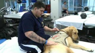 Therapy Dogs Help Wounded Warriors Heal