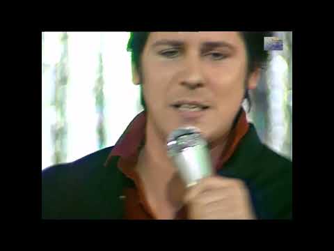 Shakin' Stevens - The Bop Won't Stop