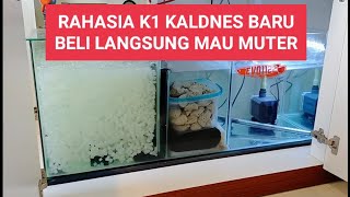 Bahas Filtrasi K1 Kaldnes Baru  Beli Supaya Langsung Muter