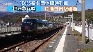 【E655系団体臨】伊豆急行線　片瀬白田駅通過