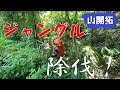 【山開拓】隣の土地を勝手に除伐してみたら大変な事になってた！！