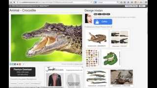 Website project: Step 2. How to find images in public domain or licensed for reuse?