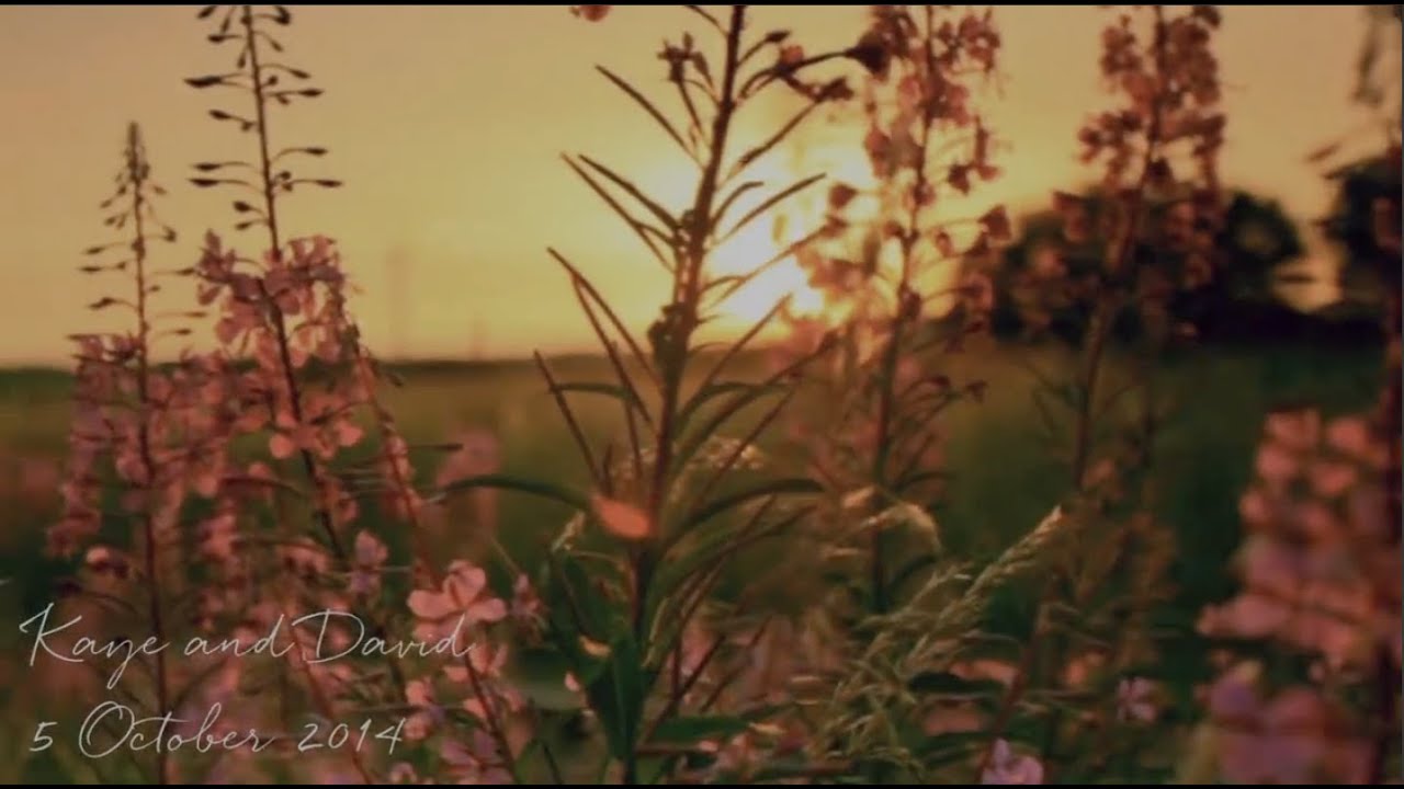 Kaye and David - 5 October 2014 Lochside House Hotel - YouTube