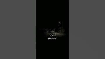 تلاوة خاشعة جميلة بصوت عمر محجوب ارح سمعك #عمر_محجوب