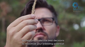 NRGene product video By Blue-Monkeys.com