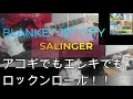 Blankey Jet City /  SALINGER 弾いてみた