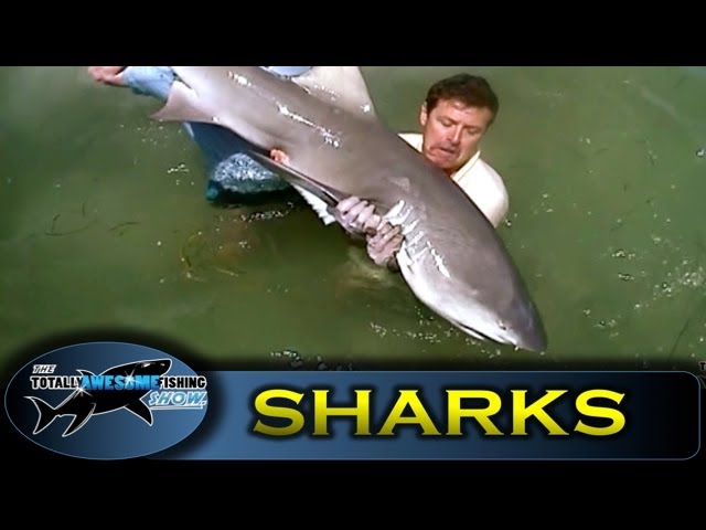 Sharks of the Florida Keys - Totally Awesome Fishing - Vintage Series 