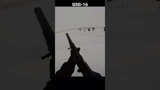 Gsg-16 Shooting In Snowstorm