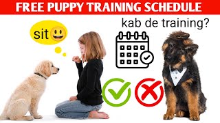 New Puppy Training schedule FREE / Complete training schedule for puppy by At Mix 698 views 1 month ago 8 minutes, 20 seconds