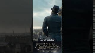 Animais Fantásticos Os Crimes De Grindelwald Spot - Perguntas
