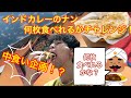 【中食い動画！？】大好物なインドカレーのナン、何枚食べれるかチャレンジ！