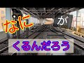 なにがくるんだろう182