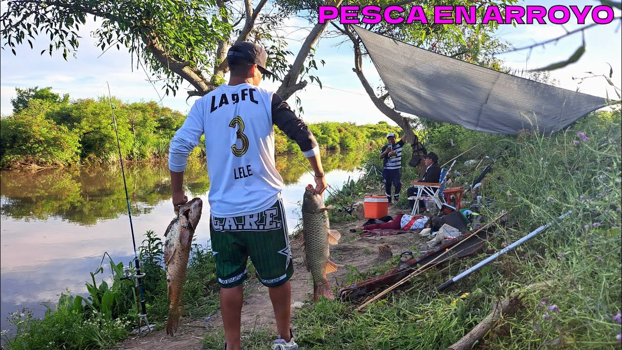 mira este LUGAR GRATIS para PESCAR/ acá te CANSAS de sacar VARIADA. ARROYO PLAGADO DE PESCADOS!