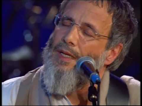 yusuf-islam---in-the-end