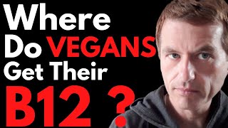 Where Do Vegans Get Their B12 From