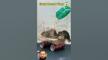 Easy Mouse Trap for plastic bottle#rat #mousetrap #rattrap #mouse #shorts #viralshort