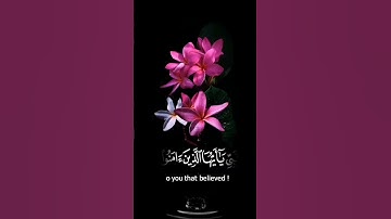 صباح الخير 🌷حالات واتس اب🌷 مقاطع قصيره🌷قران كريم ان الله وملائكته يصلون على النبي🌷بدون حقوق🌷ستوريات
